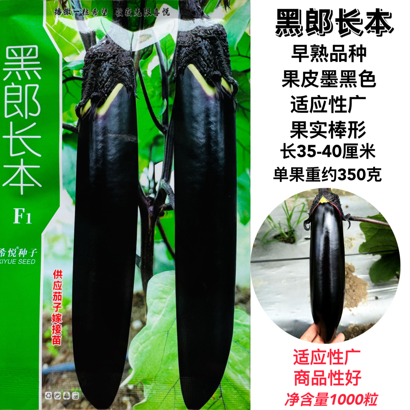 正品黑郎长本早熟茄子 种子果实墨绿色抗性好货架期长抗病抗逆
