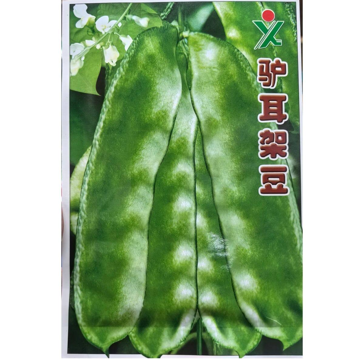 驴耳朵架豆种子扁豆角种子角长16-20厘米耐热四季春秋高产猪耳朵