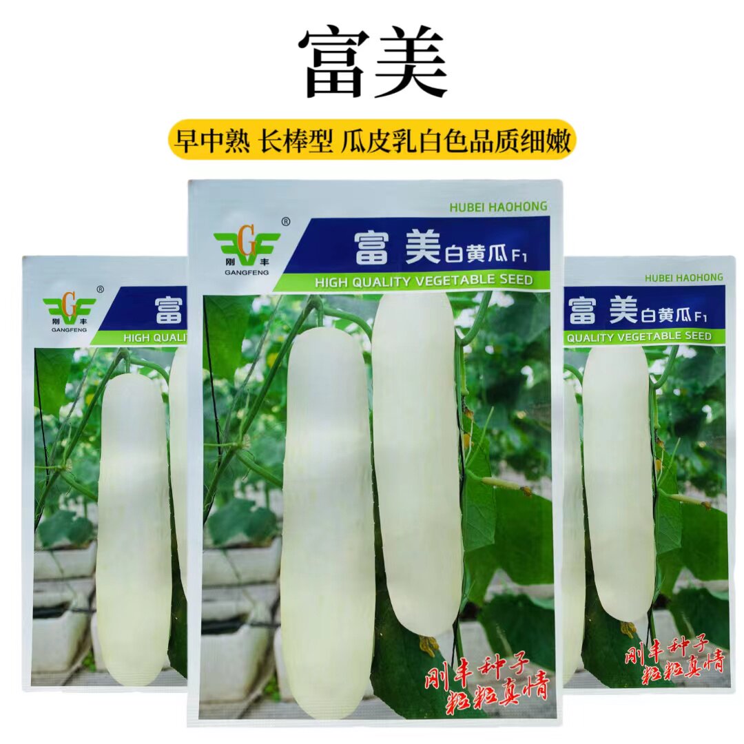 富美白黄瓜高产水果黄瓜脆甜