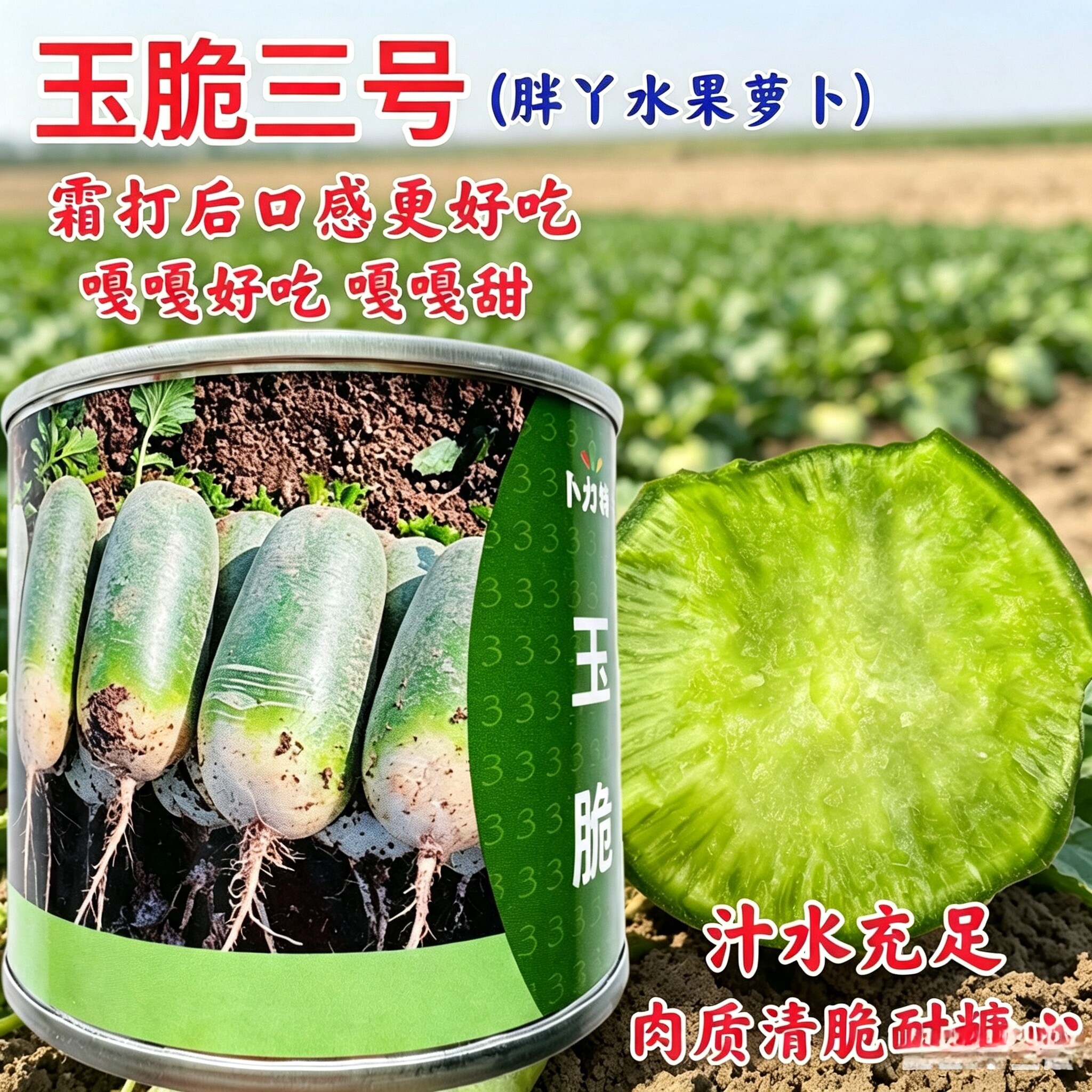 玉脆三号胖丫水果萝卜种子 抗性好潍县水果大青萝卜种籽沙窝萝卜