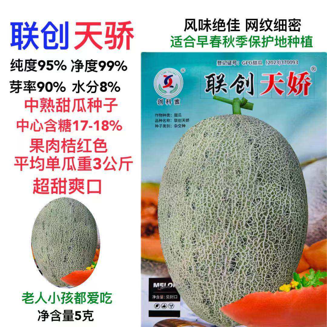联创天娇中熟哈蜜甜瓜种子 果肉桔红 酥脆多汁抗白粉病网纹细腻