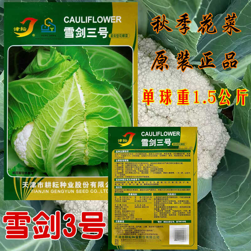 雪剑三号花菜种子青梗白
