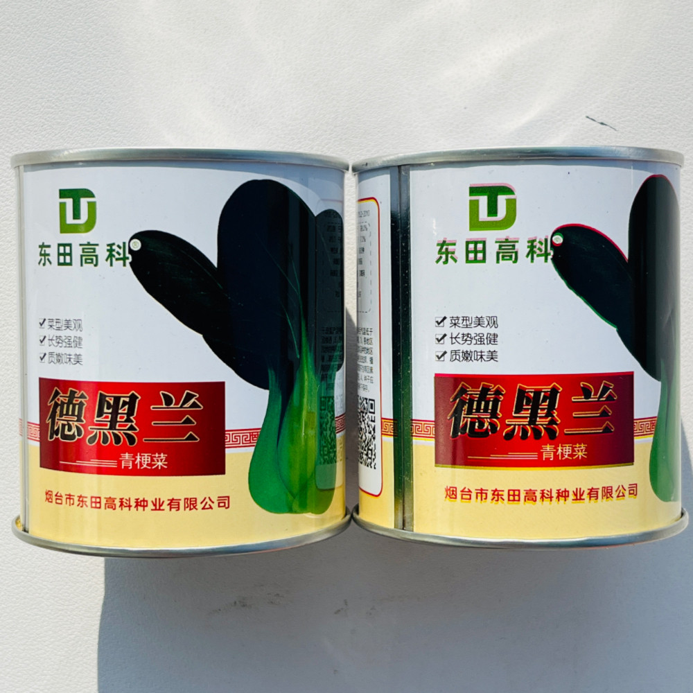 德黑兰青梗菜种子上海青耐热耐寒口感甜美大头束腰春秋播青菜种籽 - 实物图