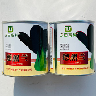 德黑兰青梗菜种子上海青耐热耐寒口感甜美大头束腰春秋播青菜种籽