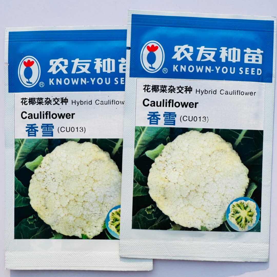 香雪花椰菜种子白花菜杂交种籽农家秋播松花类型花菜蔬菜种孑