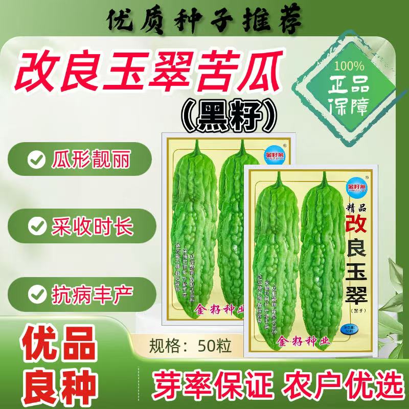 改良玉翠苦瓜种子黑籽厚肉苦瓜耐热耐寒高产抗病采收时长瓜形美观