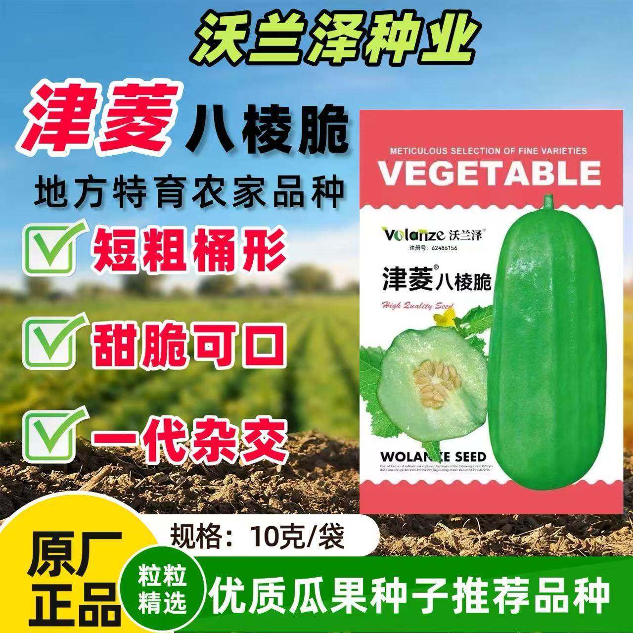 津菱八棱脆菜瓜水果脆瓜甜瓜种子黄河脆一窝农家无糖味微酥脆早熟