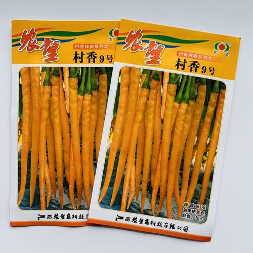 村香9号超辣长线椒种子种籽四季春秋抗病高产黄色椒辣椒蔬菜种孑