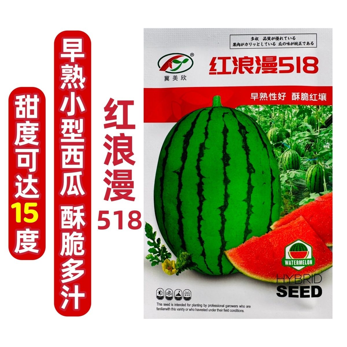 红浪漫518礼品西瓜种子超