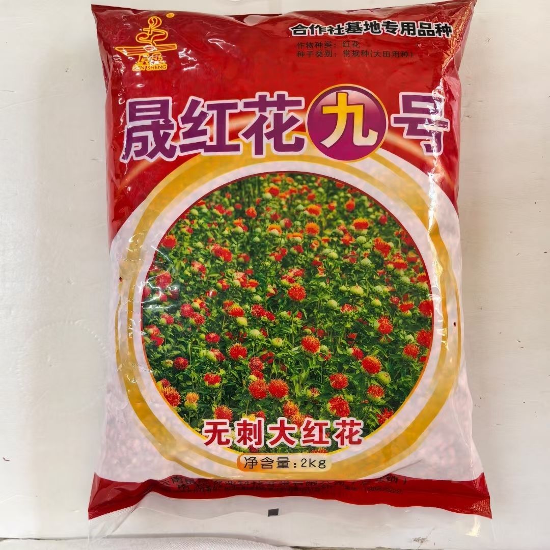滇红花种子 晟红花九号 花朵大无刺花丝长耐寒耐瘠产量高红花种籽