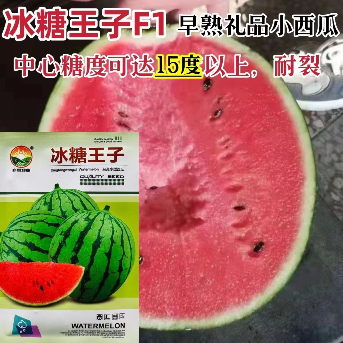 冰糖王子西瓜种子特甜早熟圆形礼品西瓜种子花皮红肉糖度高耐裂好