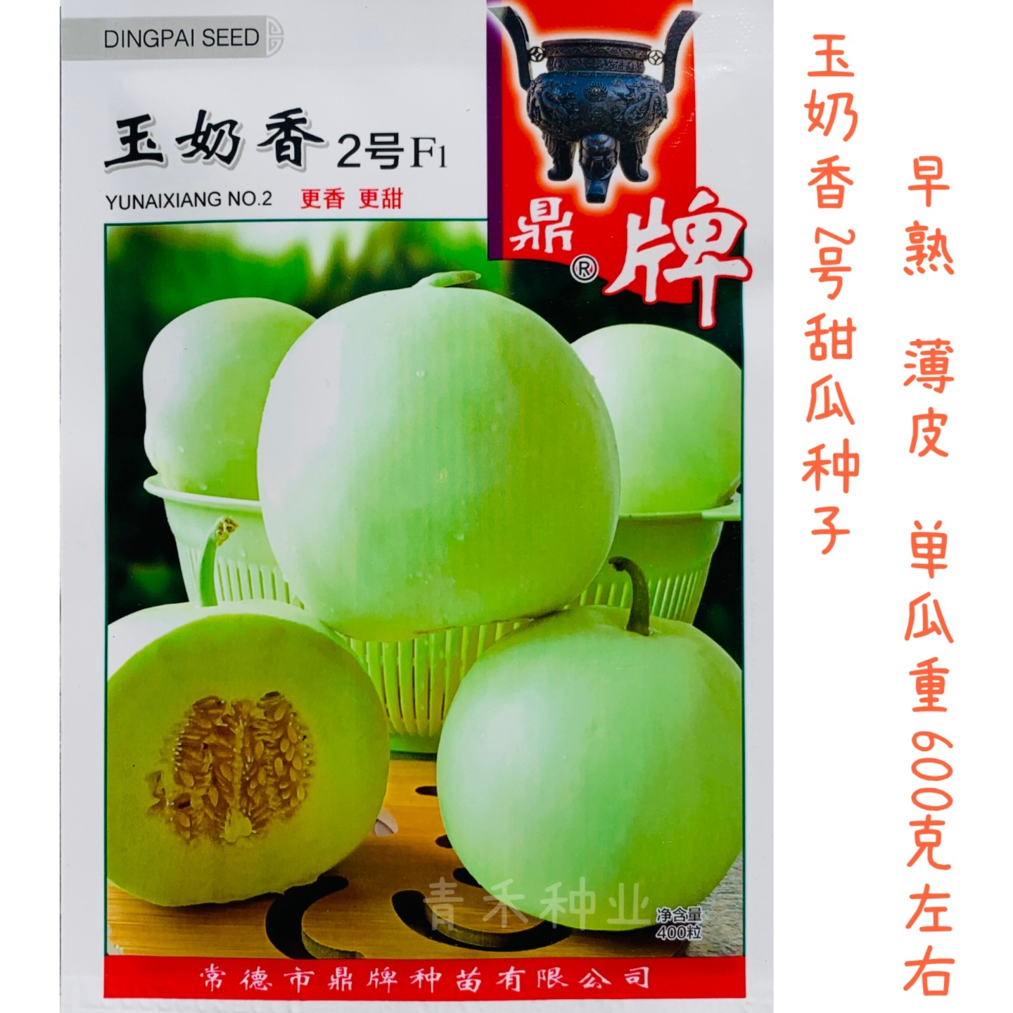 玉奶香甜瓜种子早熟薄皮香甜瓜种籽农家春秋播露地大棚水果瓜种孑