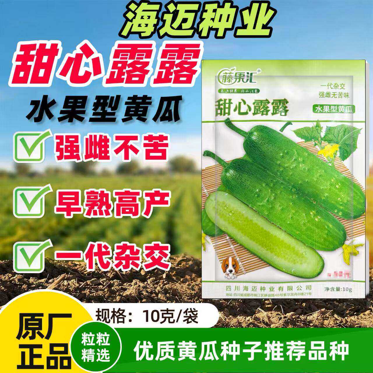 甜心露露水果型黄瓜种子早熟强雌杂交品种无苦味皮浅绿色光泽度强