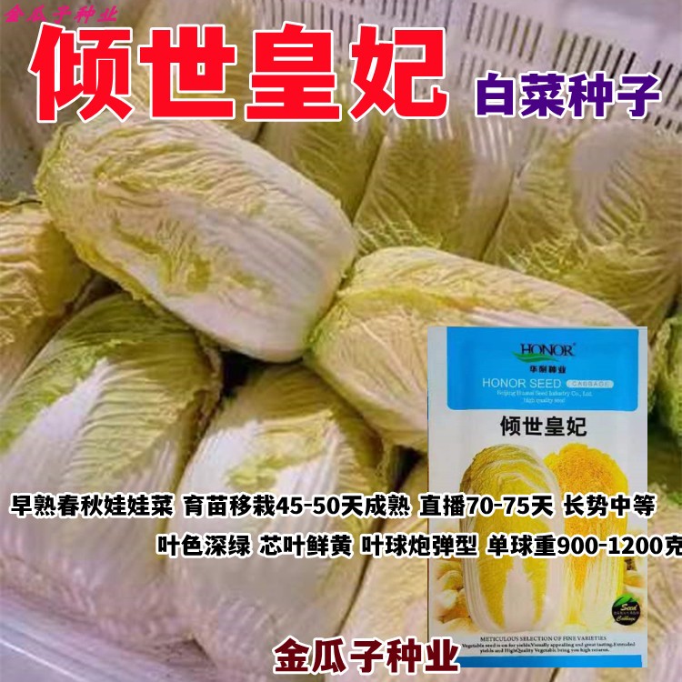倾世皇妃黄心娃娃菜白菜