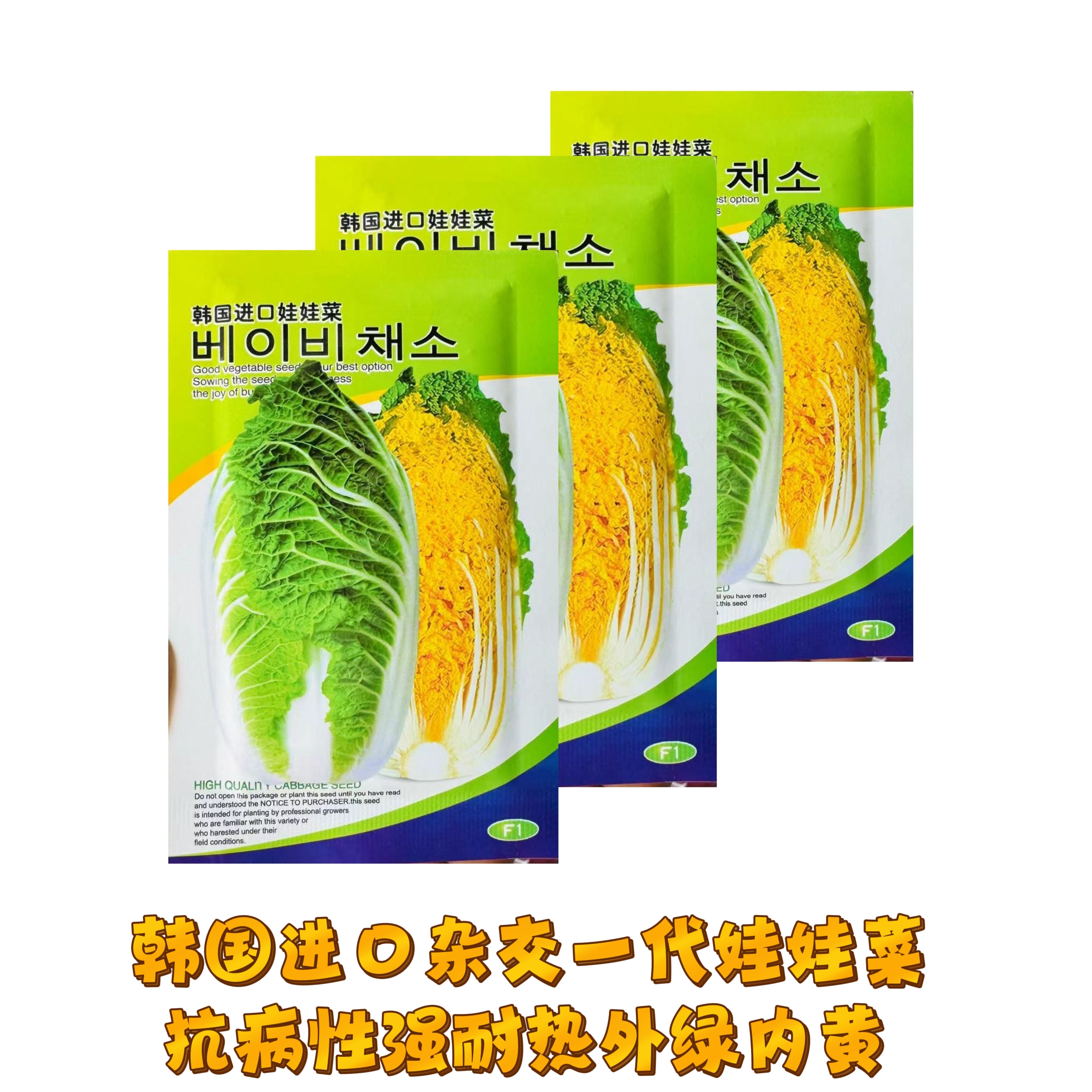 韩国进口金黄心娃娃菜夏