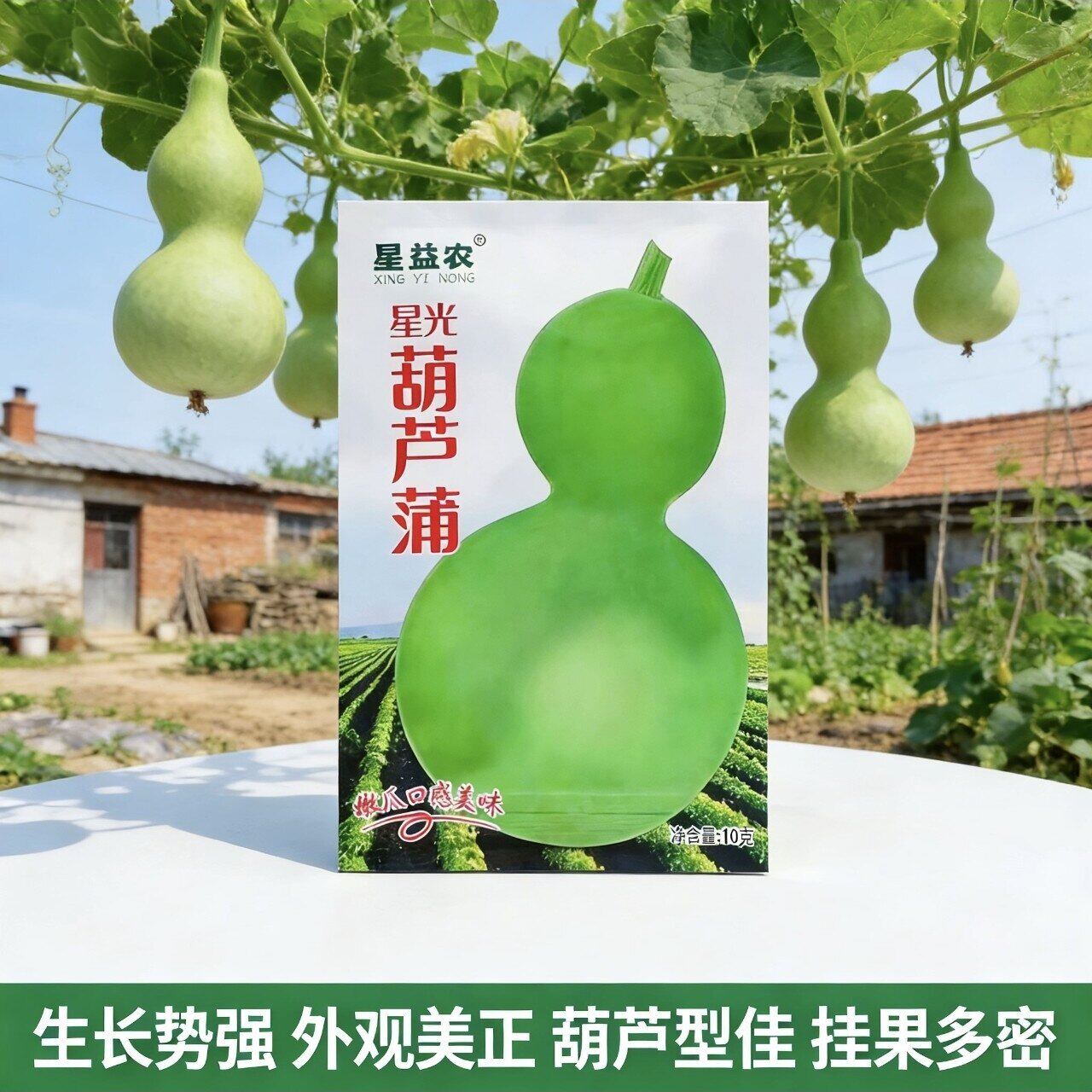 星光葫芦蒲种子葫芦瓜种子庭院阳台盆栽爬藤观赏宝葫芦蔬菜种子