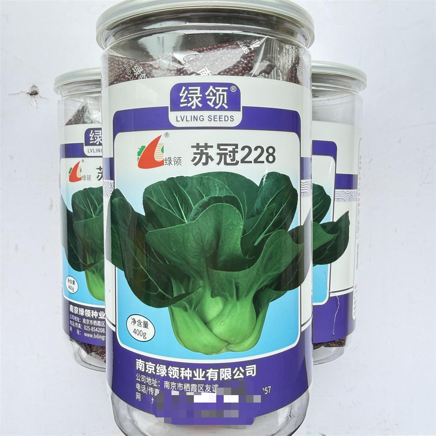 绿领苏冠228青菜种子菜园大田蔬菜直播或育苗移栽叶柄肥厚青梗菜