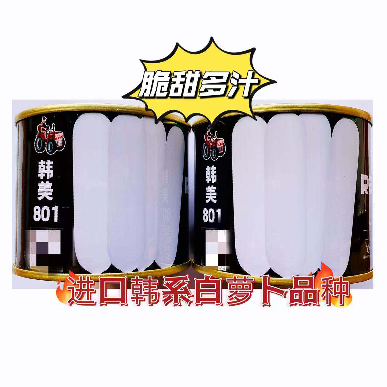 韩美801白萝卜种子高产秋季水果四季阳台盆栽韩国小蔬菜种籽孑