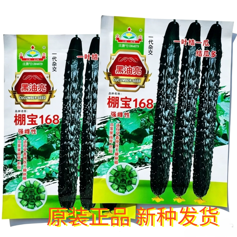 棚宝168黑油亮密刺黄瓜种子强雌性早熟大棚种植短把绿肉早春晚秋