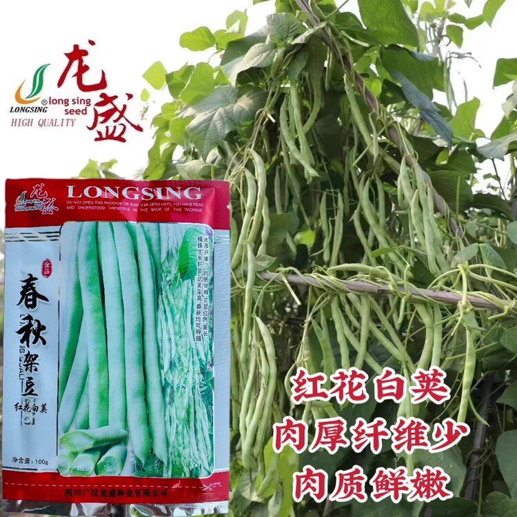 春秋架豆种子红花白荚四季豆种籽菜豆芸豆梅豆角种籽秋冬季蔬菜孑