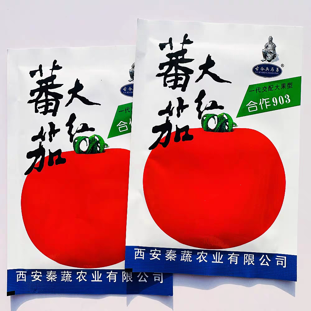 合作903大红番茄种子抗病杂交早中熟抗病大红果西红柿种籽春秋播