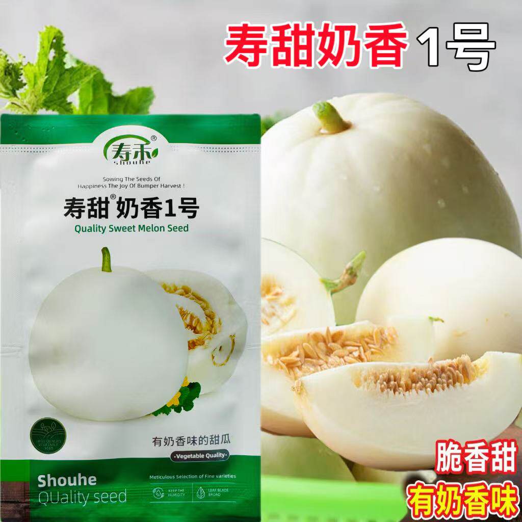 寿甜奶香1号白皮甜瓜种子香瓜种籽孑四季薄皮超甜蔬菜水果瓜果孑