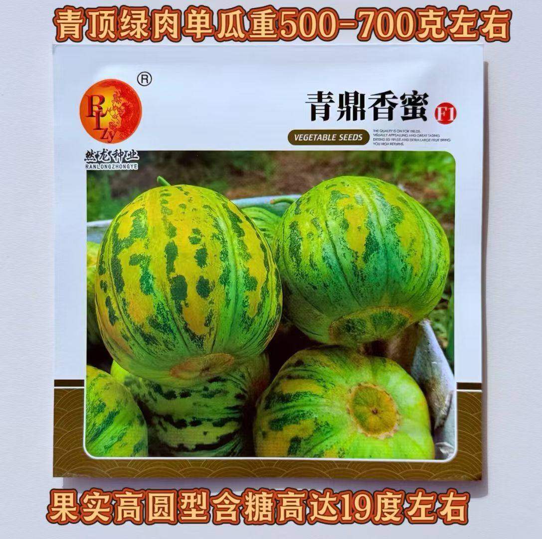 然龙青鼎香蜜甜瓜种子八里香甜瓜种籽口感脆甜绿肉高圆型香瓜籽