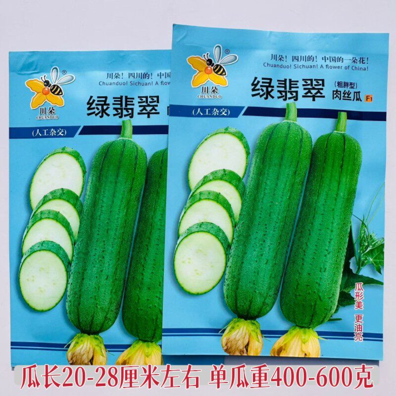 绿翡翠丝瓜种子粗胖型肉丝瓜种籽农家春夏季耐热早熟丝瓜种孑子