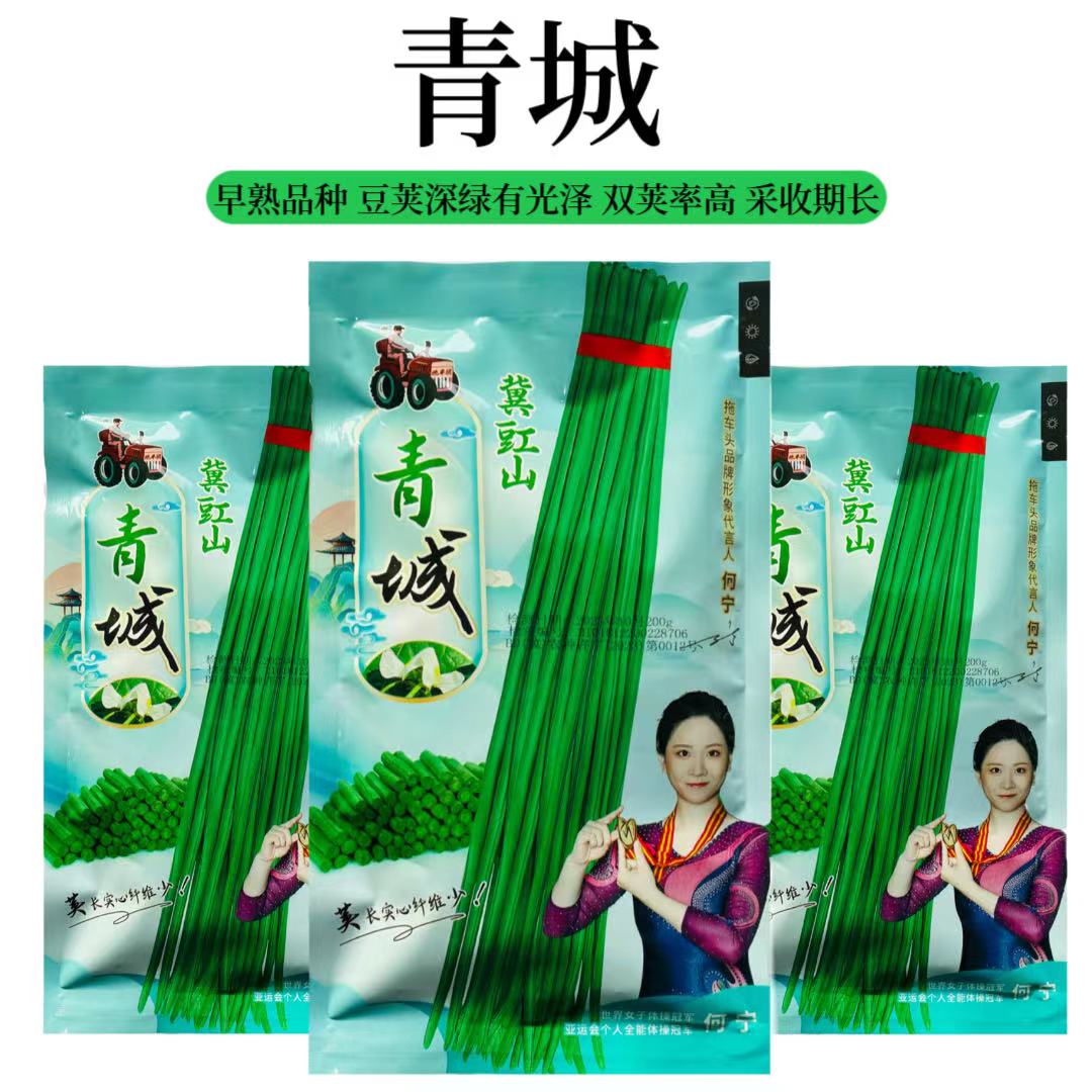 冀豇山青城长豆角高产抗病顺直