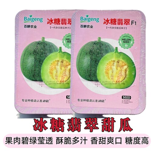 冰糖翡翠甜瓜种子薄皮超甜绿皮四季脆瓜早熟阳台香瓜籽甜香