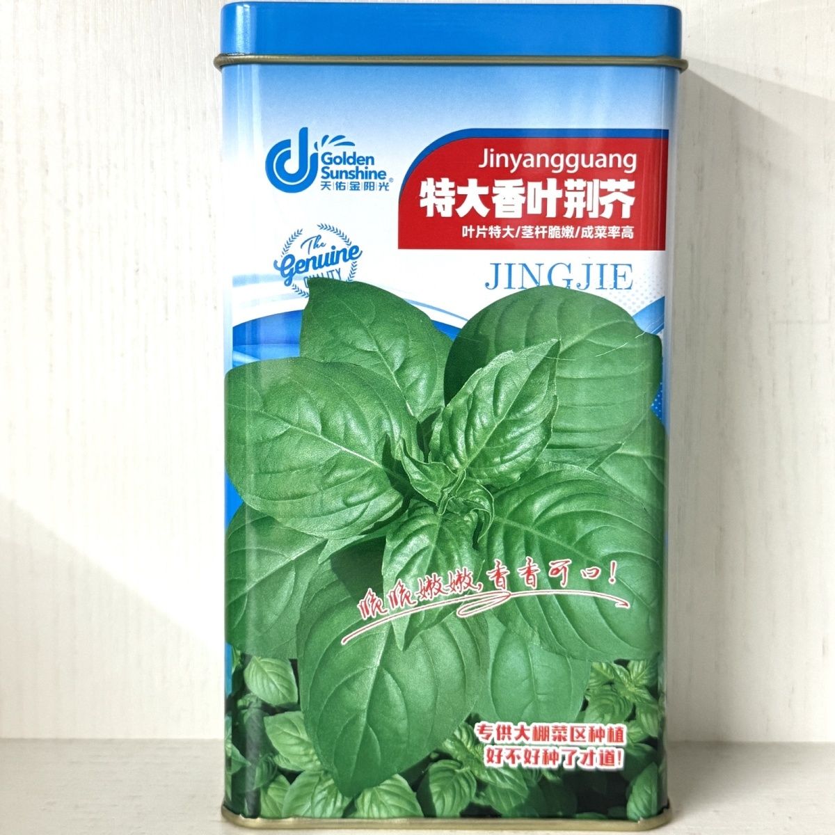 特大香叶荆芥种子茎杆脆嫩清甜叶片厚大成菜率高春秋播种200克装