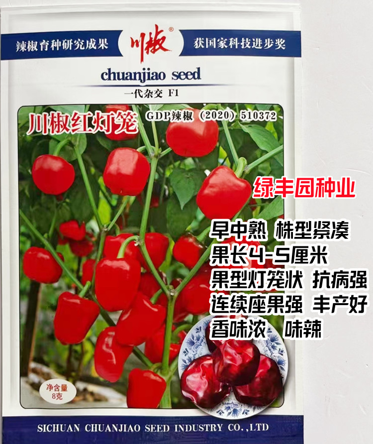 川椒红灯笼辣椒樱桃红泡椒种子