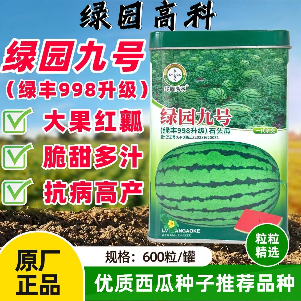 绿园九号懒汉瓜种子大果红瓤绿丰998西瓜种子中熟花皮高产抗病孑