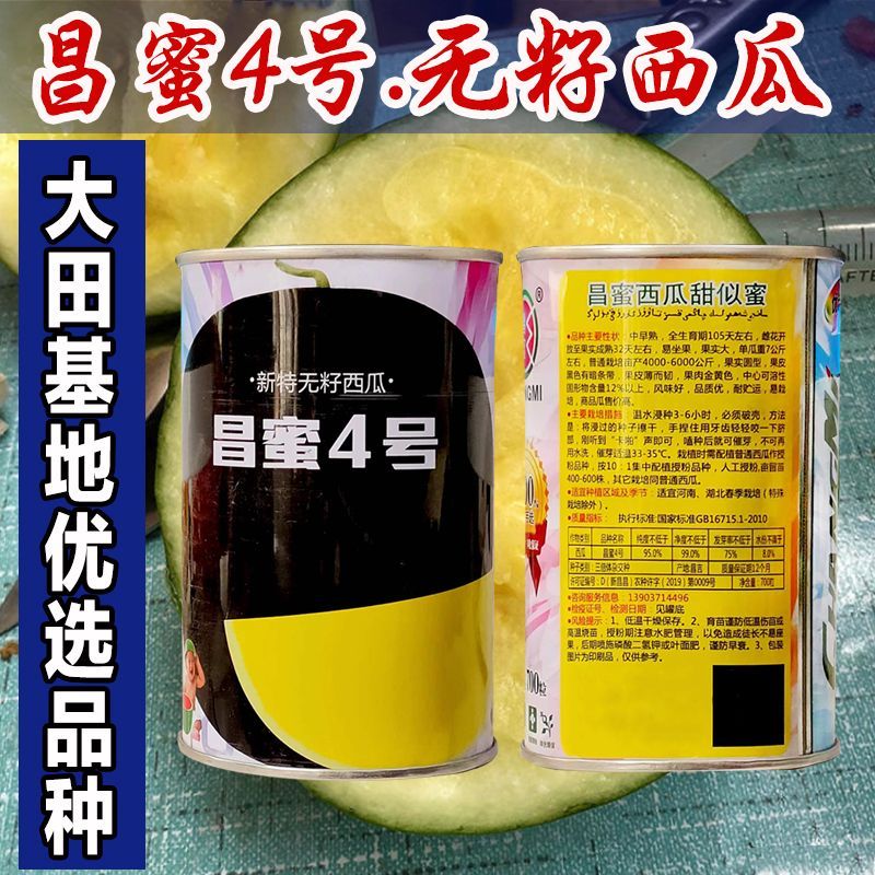 昌蜜4号黄瓤无籽西瓜种子
