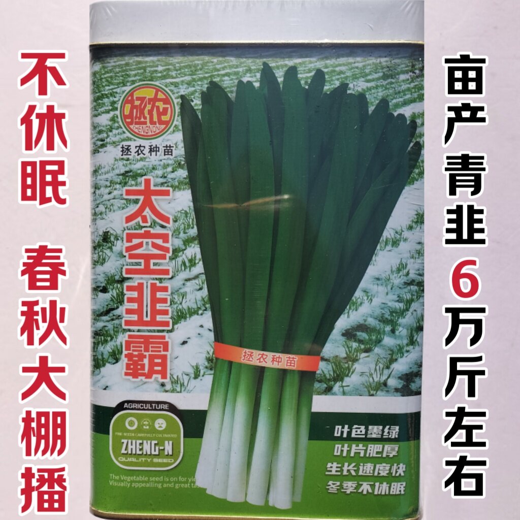 太空韭霸韭菜种子耐寒耐热不休眠