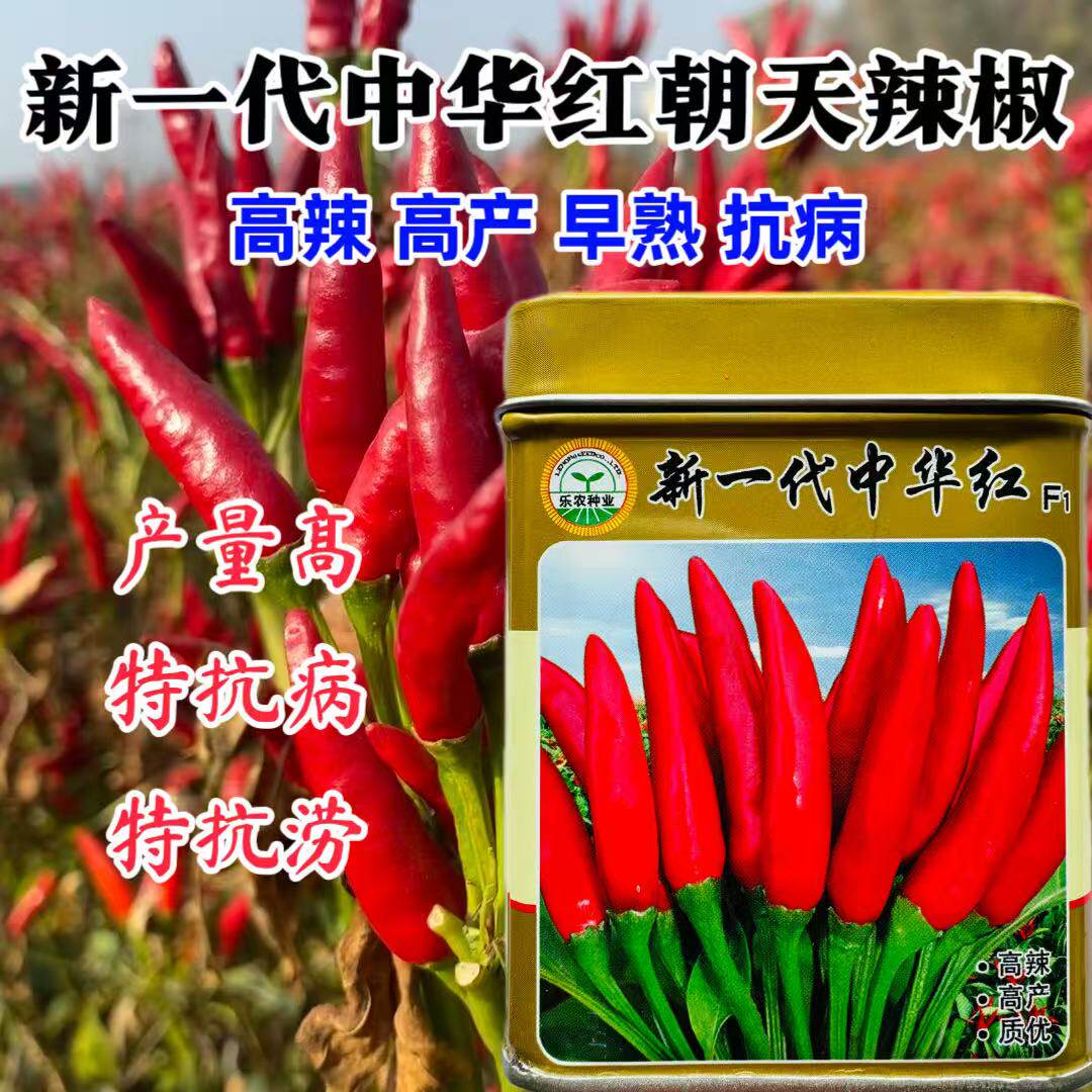 新一代中华红超辣朝天椒红辣椒种子高产农家种籽小米早熟蔬菜种子