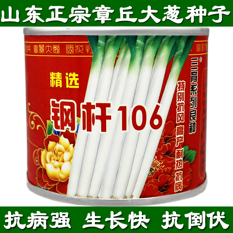 铁杆106大葱子高产抗倒伏葱白长