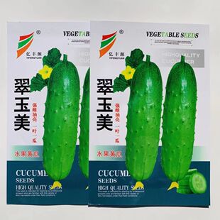 翠玉美强雌油亮水果黄瓜种子脆甜绿肉清香水果型黄瓜种籽一叶一瓜