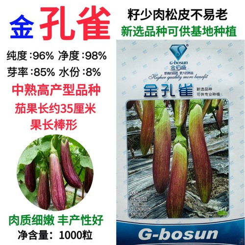 茄子种子金孔雀特选中早熟丰产长棒型茄子种籽农家春秋播竹丝茄籽