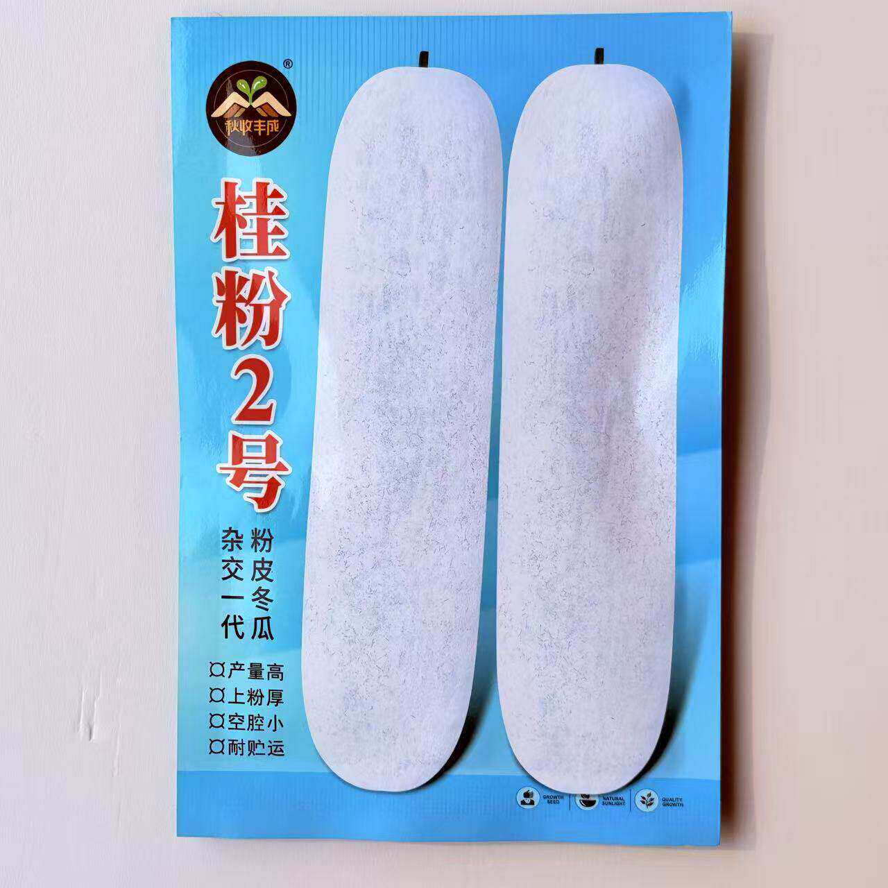 桂粉2号粉皮大冬瓜种子白皮冬瓜春播庭院盆栽蔬菜种籽特大冬瓜孑