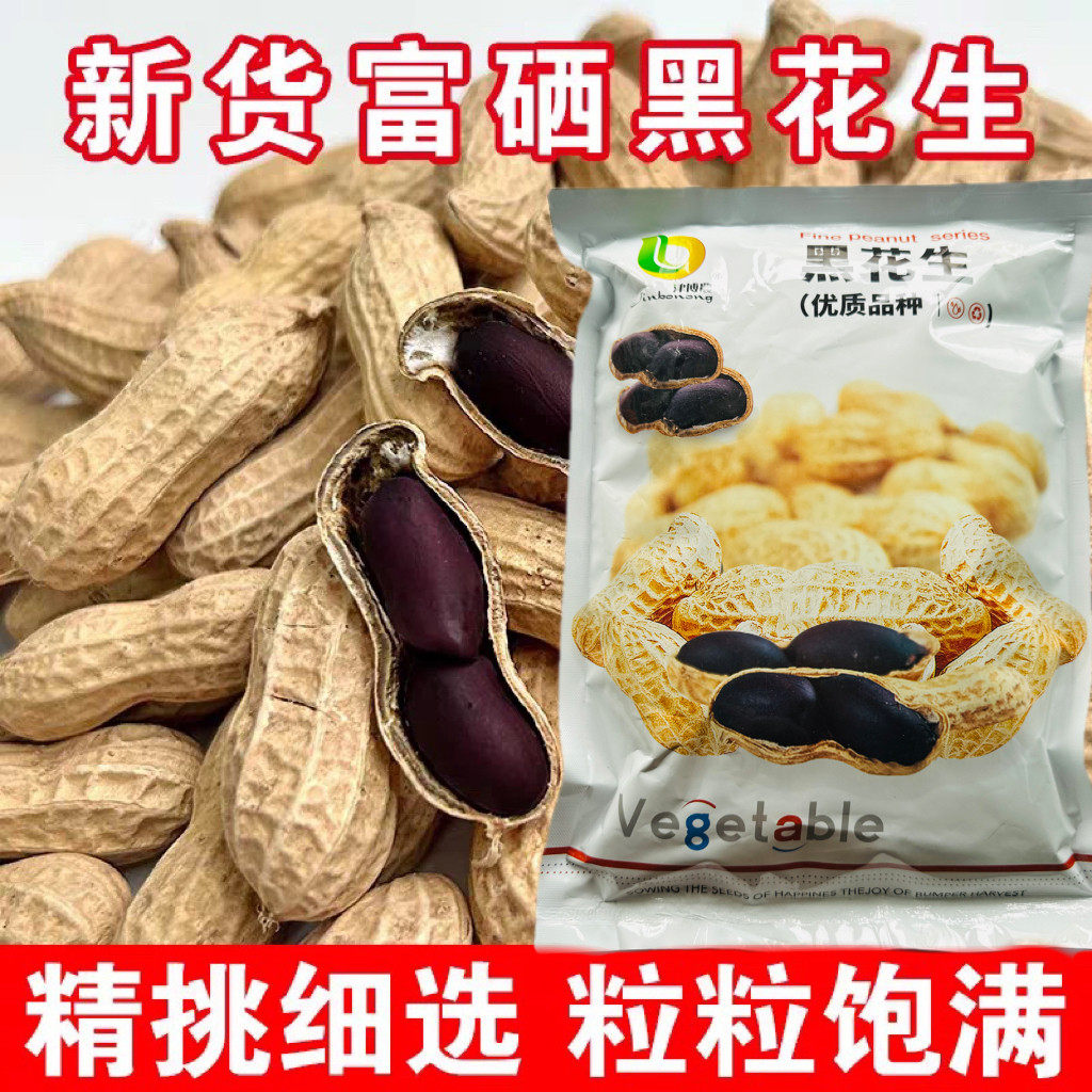 黑花生富含花青素黑花生种子高产抗病非转基因大粒饱满大田基地种
