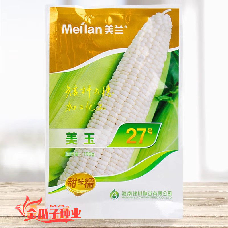 美玉27号甜糯玉米中早熟加甜糯