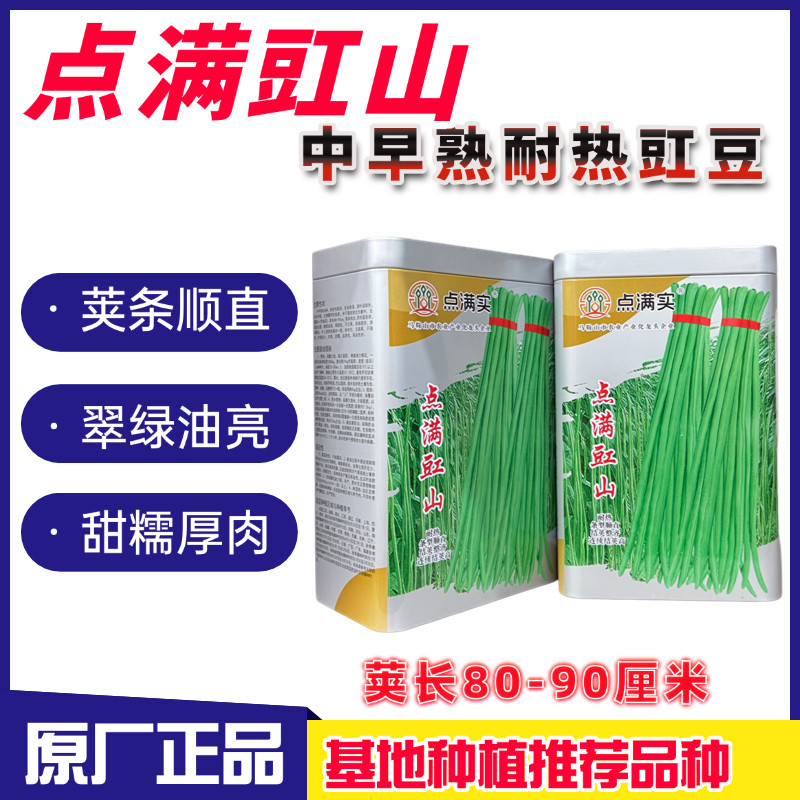 点满豇山豆角种子中早熟