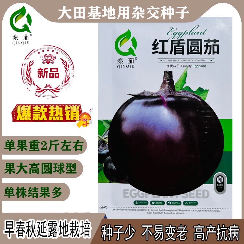 红盾圆茄种子果皮紫红色