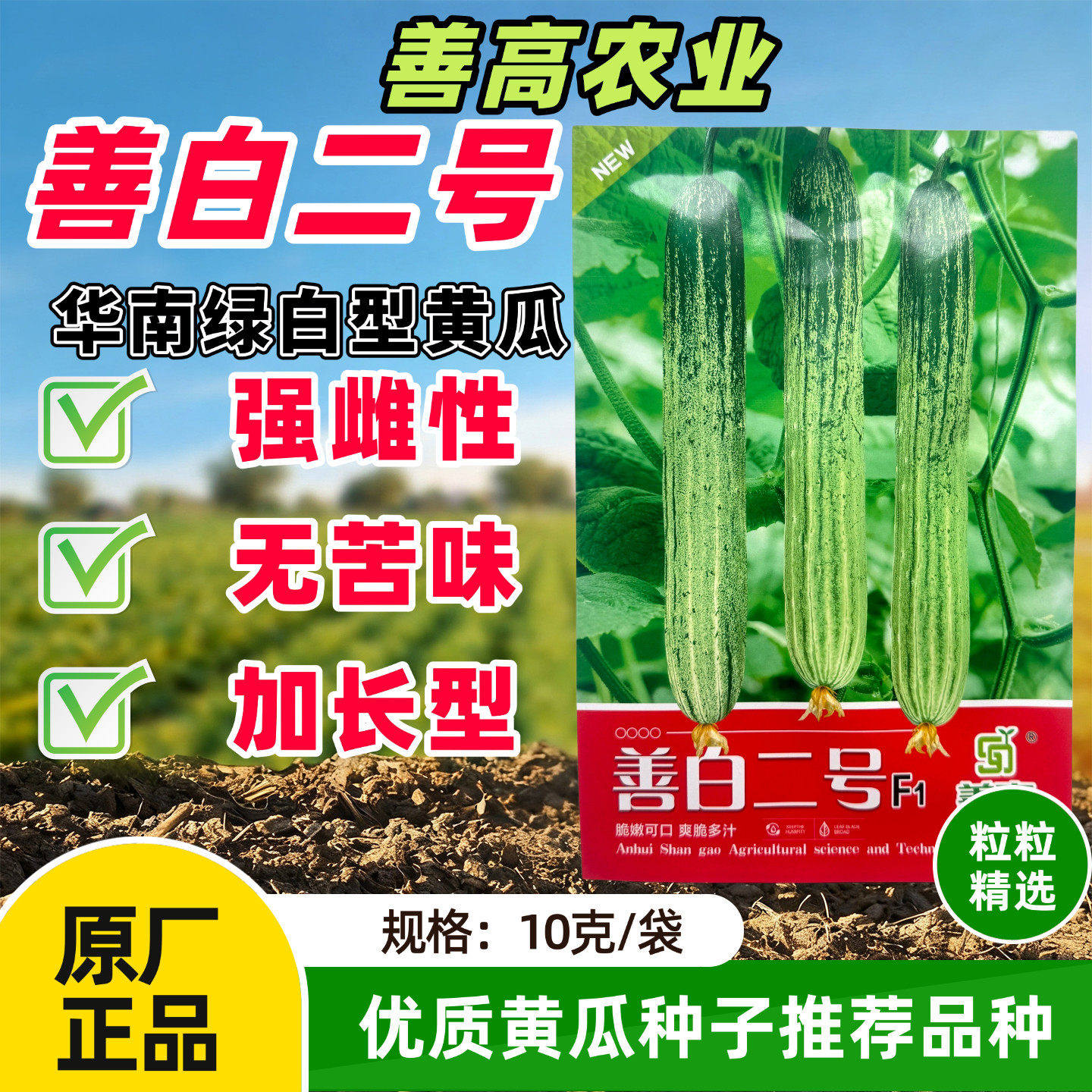 善白二号黄瓜种子早熟无苦味绿白型黄瓜种子强雌性瓜条顺直产量高