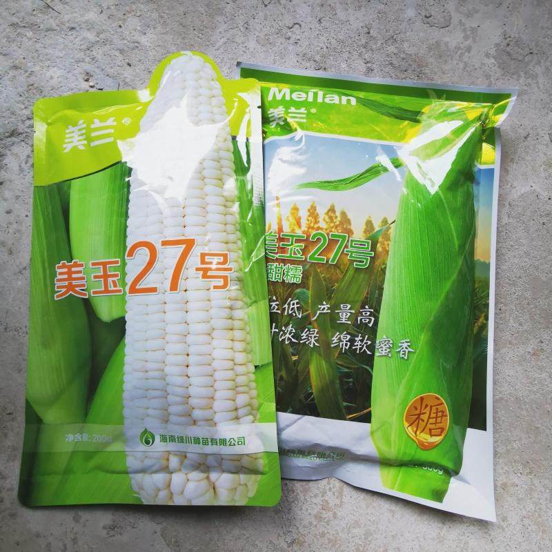 美玉27白甜糯玉米种籽高产抗病大棒甜加糯白玉米南北春秋播种