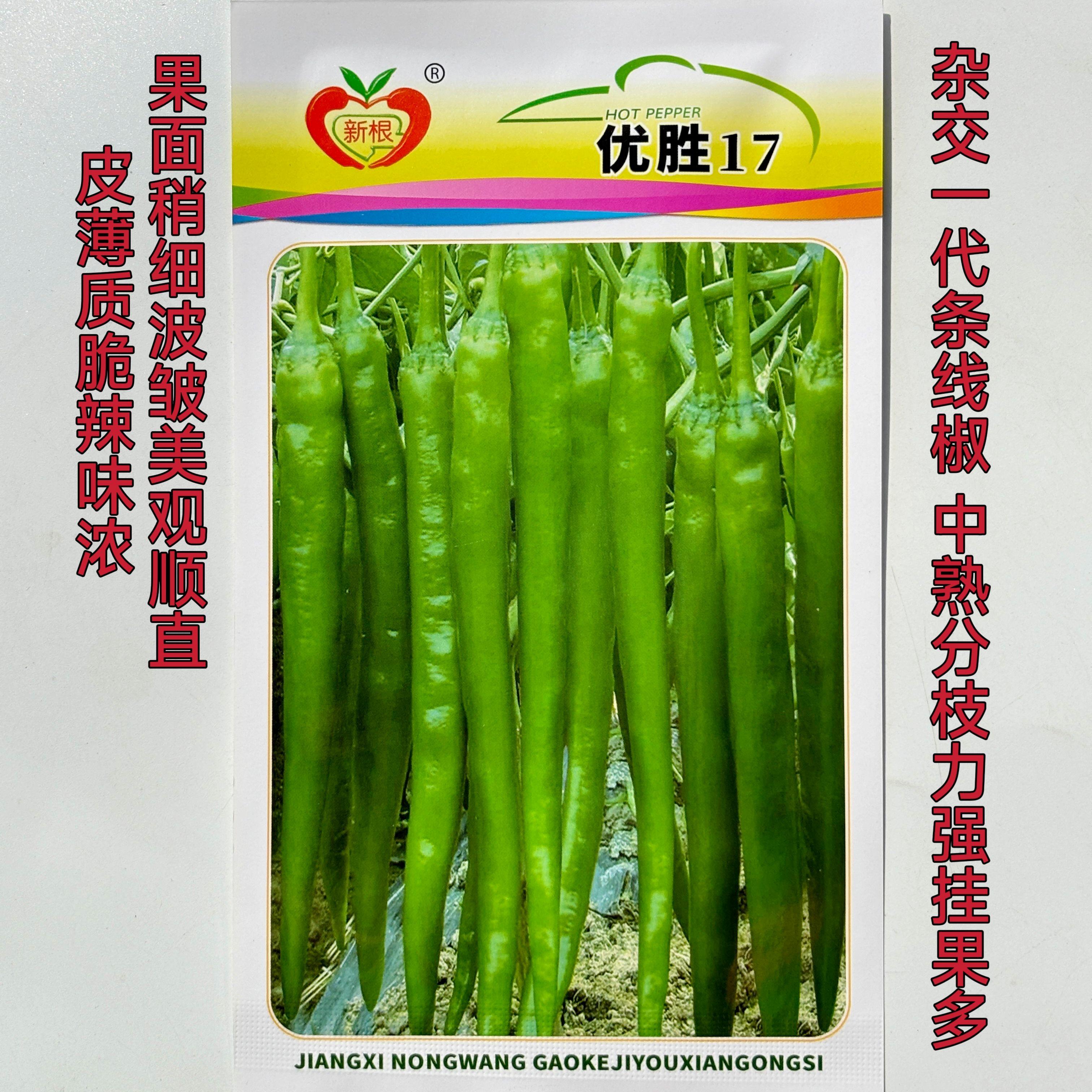 【正品】农望优胜17辣椒种子杭椒线椒口感好皮薄质脆味辣长线椒种