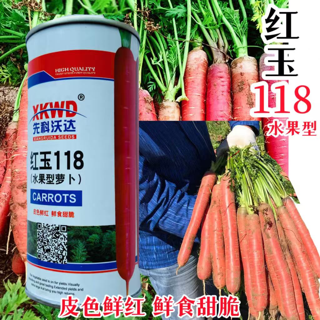 红玉118胡萝卜种子水果籽