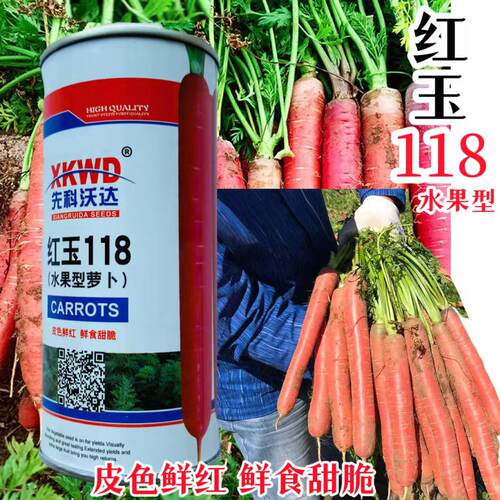 红玉118胡萝卜种子水果籽