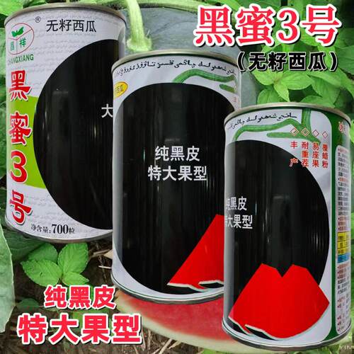 黑蜜3号无籽西瓜种子黑皮红瓤西瓜孑高产特大西瓜种子麒麟西瓜籽